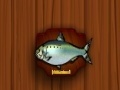 Gioco Amateur Action Super Fishing