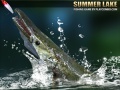 Gioco Summer Lake