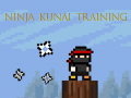 Gioco Ninja Kunai Training