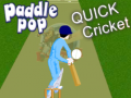 Gioco Paddle Pop Quick Cricket