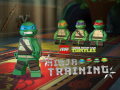Gioco Teenage Mutant Ninja Turtles: Ninja Training