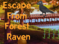 Gioco Escape from Forest Raven