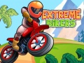Gioco Extreme Bikers
