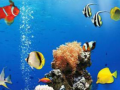 Gioco Sea Underwater Difference