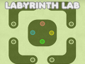Gioco Labyrinth Lab