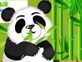 Gioco Panda Care