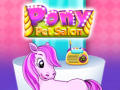 Gioco Pony Pet Salon