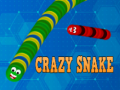 Gioco Crazy Snake