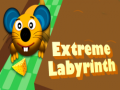 Gioco Extreme Labyrinth