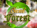 Gioco Secret Forest