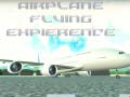 Gioco Airplane Flying Expierence