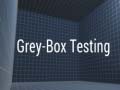 Gioco Grey-Box Testing