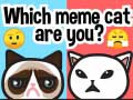 Gioco Which Meme Cat Are You?