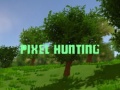 Gioco Pixel Hunting