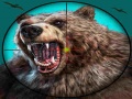 Gioco Wild Bear Hunting