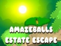 Gioco Amazeballs Estate Escape