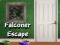 Gioco Falconer Escape