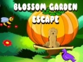 Gioco Blossom Garden Escape