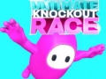 Gioco Ultimate Knockout Race