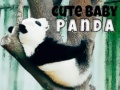 Gioco Cute Baby Panda