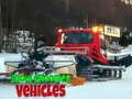 Gioco Snow Groomer Vehicles