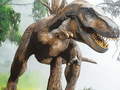 Gioco Tyrannosaurus Rex Carnivore Jigsaw