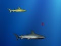 Gioco Lost shark
