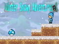 Gioco Winter Snowy Adventures 1