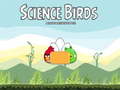 Gioco Science Birds