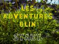 Gioco Les Adventures Blin