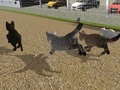 Gioco Run Cat Cat Race