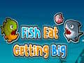 Gioco Fish Eat Getting Big