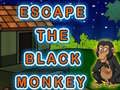Gioco Escape The Black Monkey