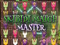 Gioco Skibidi Match Master