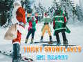 Gioco Ski Resort Hidden Snowflakes