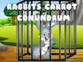 Gioco Rabbits Carrot Conundrum