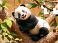 Gioco Jigsaw Puzzle: Panda On Tree