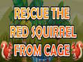 Gioco Rescue The Red Squirrel From Cage