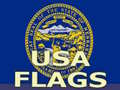 Gioco Usa Flags 