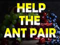 Gioco Help The Ant Pair