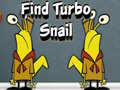 Gioco Find Turbo Snail