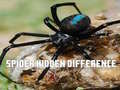 Gioco Spider Hidden Difference