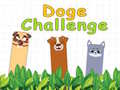 Gioco Doge Challenge