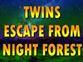 Gioco Twins Escape From Night Forest