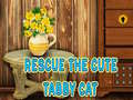 Gioco Rescue The Cute Tabby Cat
