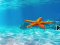 Gioco Escape From Underwater Starfish
