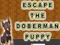 Gioco Escape The Doberman Puppy
