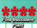 Gioco Find Succulent Plant