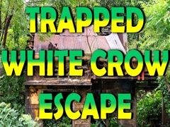 Gioco Trapped White Crow Escape