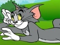Gioco Tom and Jerry ATV Adventure